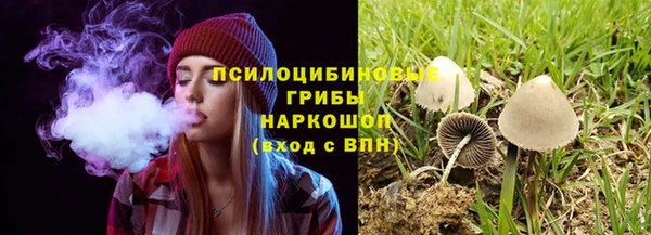 кокс Ладушкин