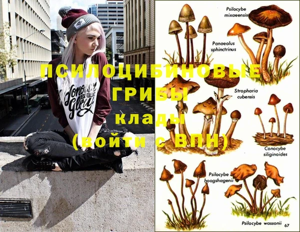 прущая мука Лабытнанги