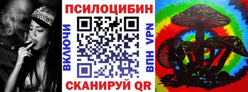 Галлюциногенные грибы Psilocybe сколько стоит Клин